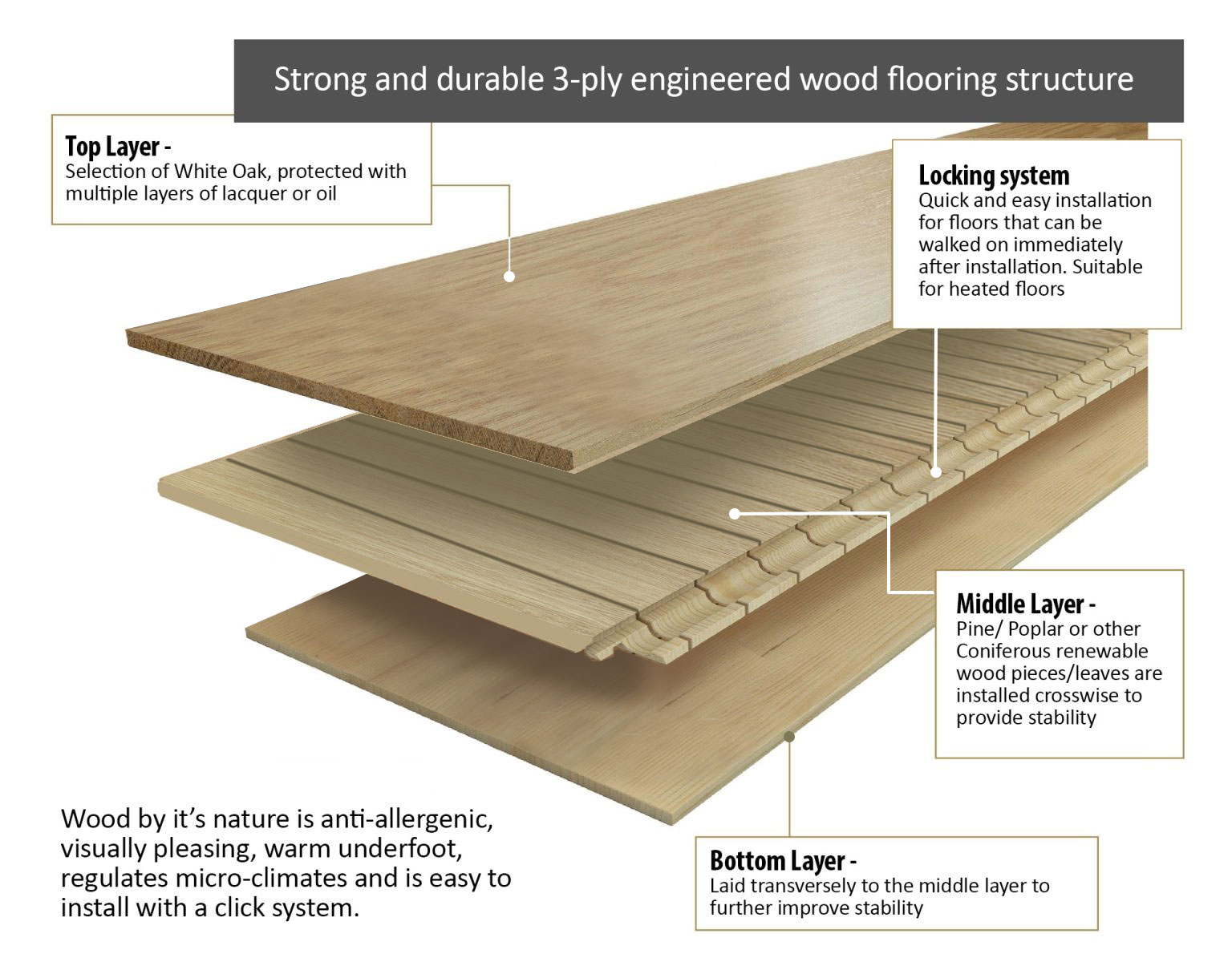 3-ply-finoak-wood-floor-structure-1536x1200-1.jpg